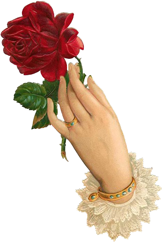Free Vintage Cl One Red Rose Clipart - Good Morning My Dear Friend (327x480)