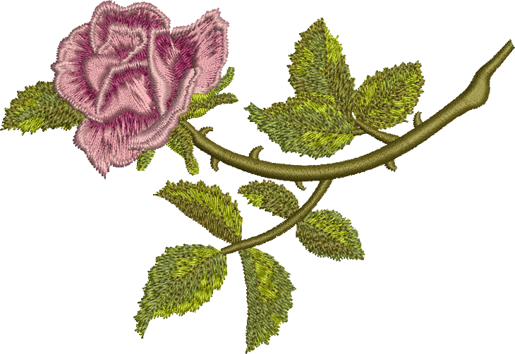 02 - Classic Rose - Embroidery Png (730x502)