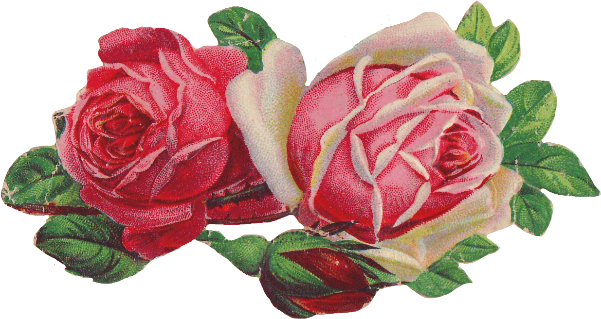 Victorian Rose Pictures Free Download Clip Art Free - Victorian Roses (1302x712)