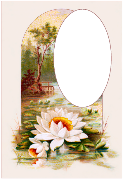 Vintage, Postcards, Flowers, Victorian, Frame, Floral - Southern Belle Shower Curtain (526x720)