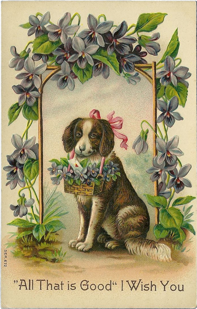 Vintage Embossed 1911 German Postcard Of Dog With Flowers - Antique Valentines Day Cards (1023x1023)