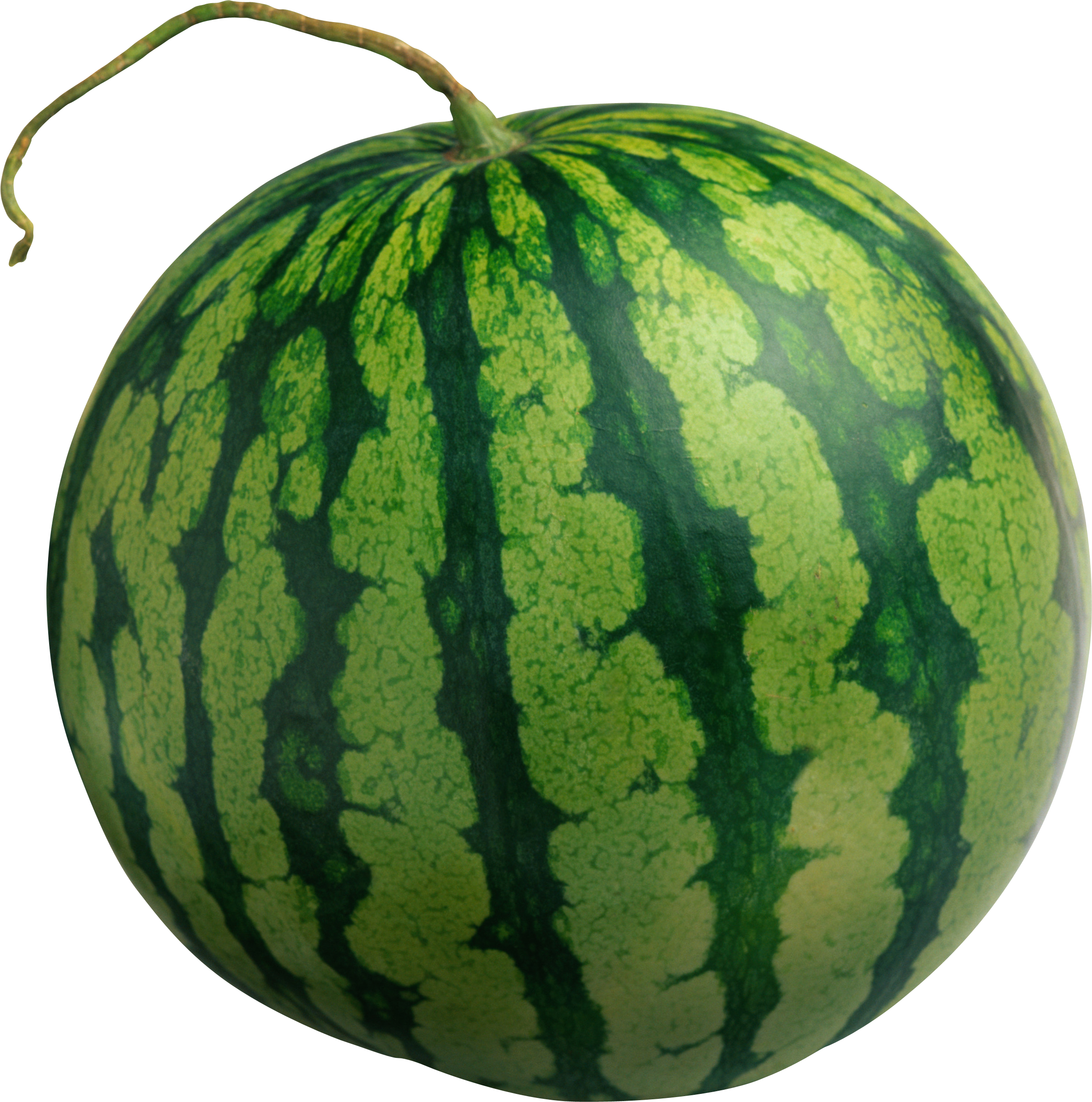 Watermelon Png Image - Southern Food: At Home, On The Road, (2425x2448)