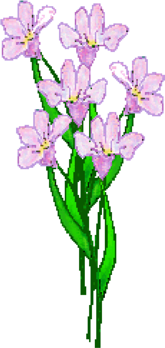 Lavender Flower Clip Art - Clipart Lavender Flowers (640x1184)