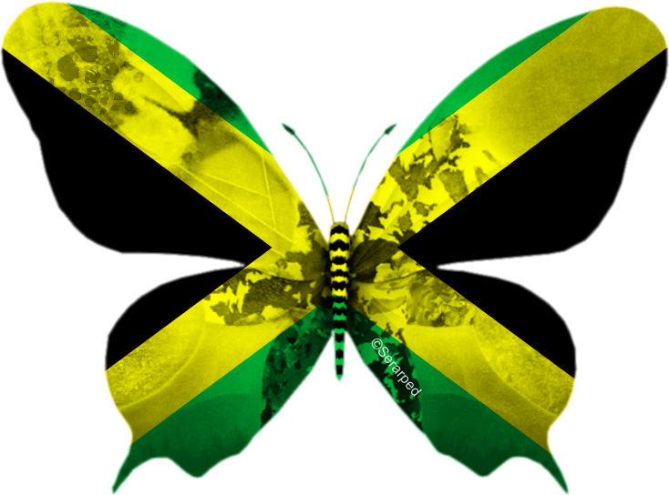 Eurovision Song Contest 2013 (734x544)