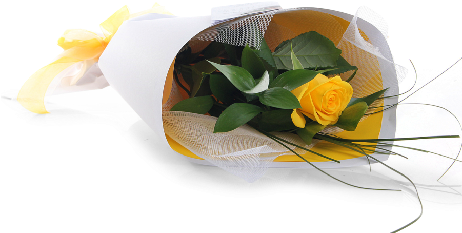 Yellow Rose Bouquet - Single Yellow Rose Bouquet (900x474)