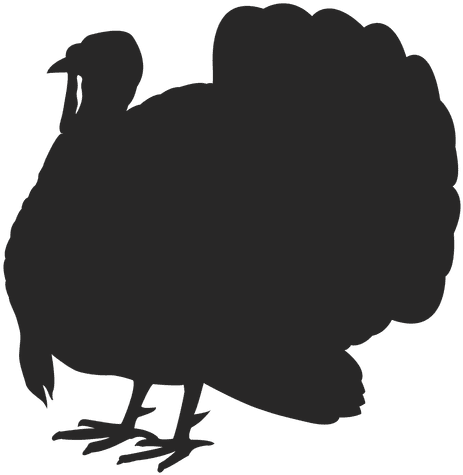 Turkey Standing Silhouette - Turkey Silhouette (512x512)