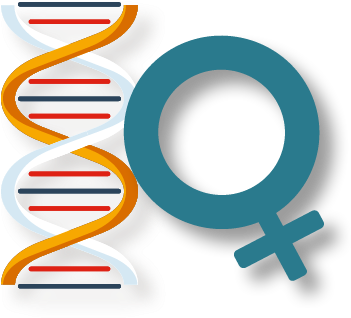 Hormone - Anti-müllerian Hormone (600x486)