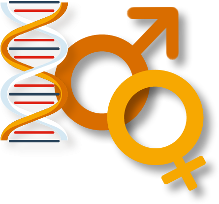 Any 5 Hormones - Circle (600x486)