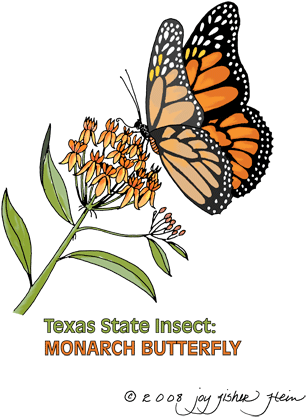Monarch Clip Art Gif File With Transparent Background - Clip Art (350x450)