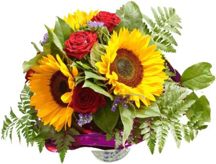 Yorkshire Rose Wallpaper With A Begonia, A Camellia, - Heart Touching Qutes In Telugu (500x432)