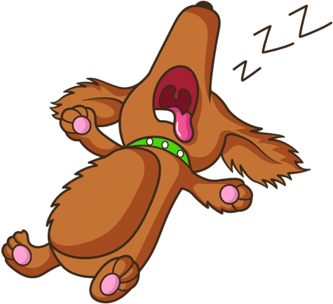 Largest Collection Of Free To Edit Sleeping Do Not - Dog (480x480)