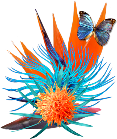 [ Img] - Flower (500x472)