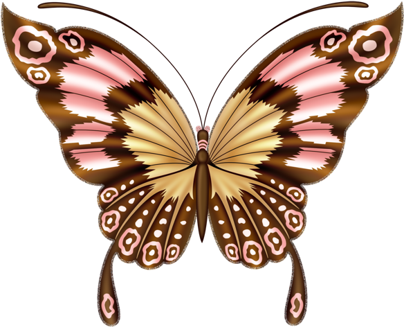Clipart Butterfly - Butterfly Beautiful Art (626x506)