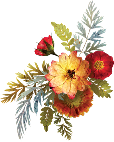 Fleurs, Éclat, Ornement, Flowers, Tubes, Bouquets, - Flower (400x500)