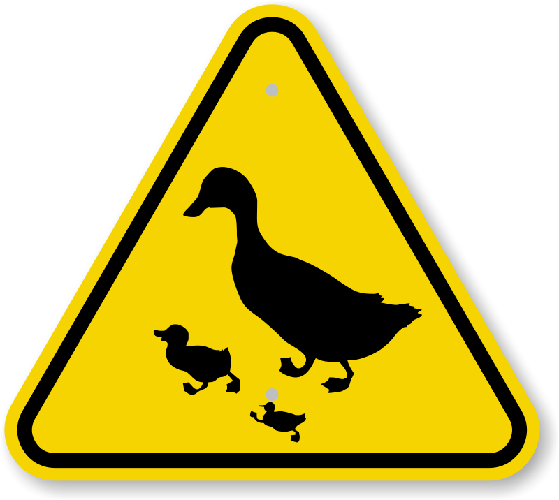 Iso Duck And Ducklings Crossing Warning Sign Symbol, - Smartsign 3m Engineer Grade Reflective Sign, Ducks (800x716)