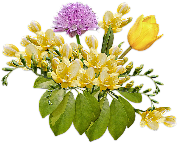 Flowers, Bouquet, Posy, Freesia, Tulip, Composition - Wildflowers Modern Simple Elegant Wedding Ideas Charms, (640x532)