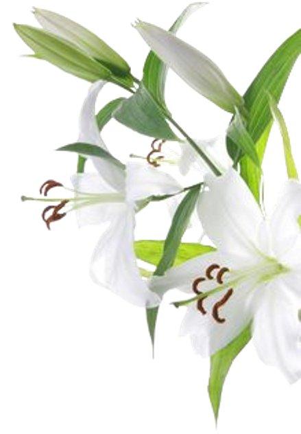 Planning Your Wedding - Fragrance Free Vs Unscented (438x640)