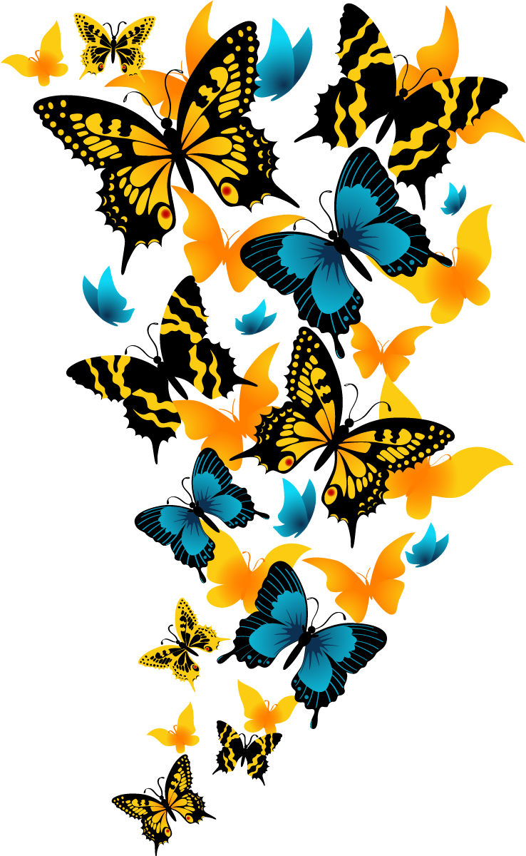 Http - //image - Noelshack - - Beautiful Butterfly Png (738x1200)