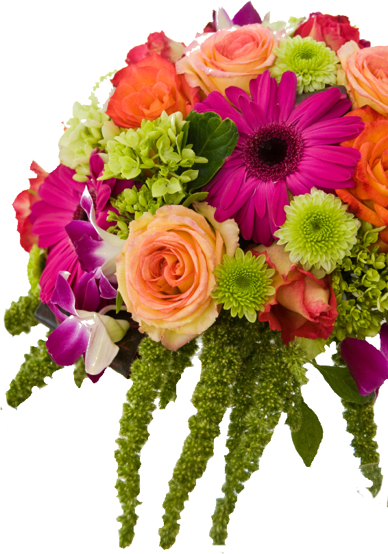 Enclosure Card - Birthday Flowers (50ct) (565x850)