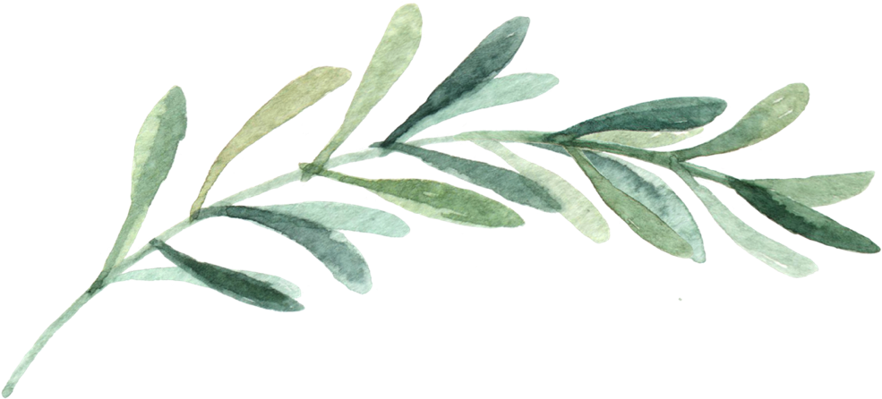 Home Page - Wedding Invitation (1018x514)