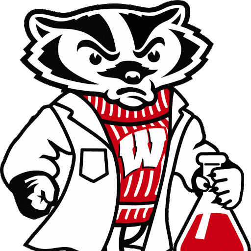 Eli Miller - University Of Wisconsin Mascot (512x512)