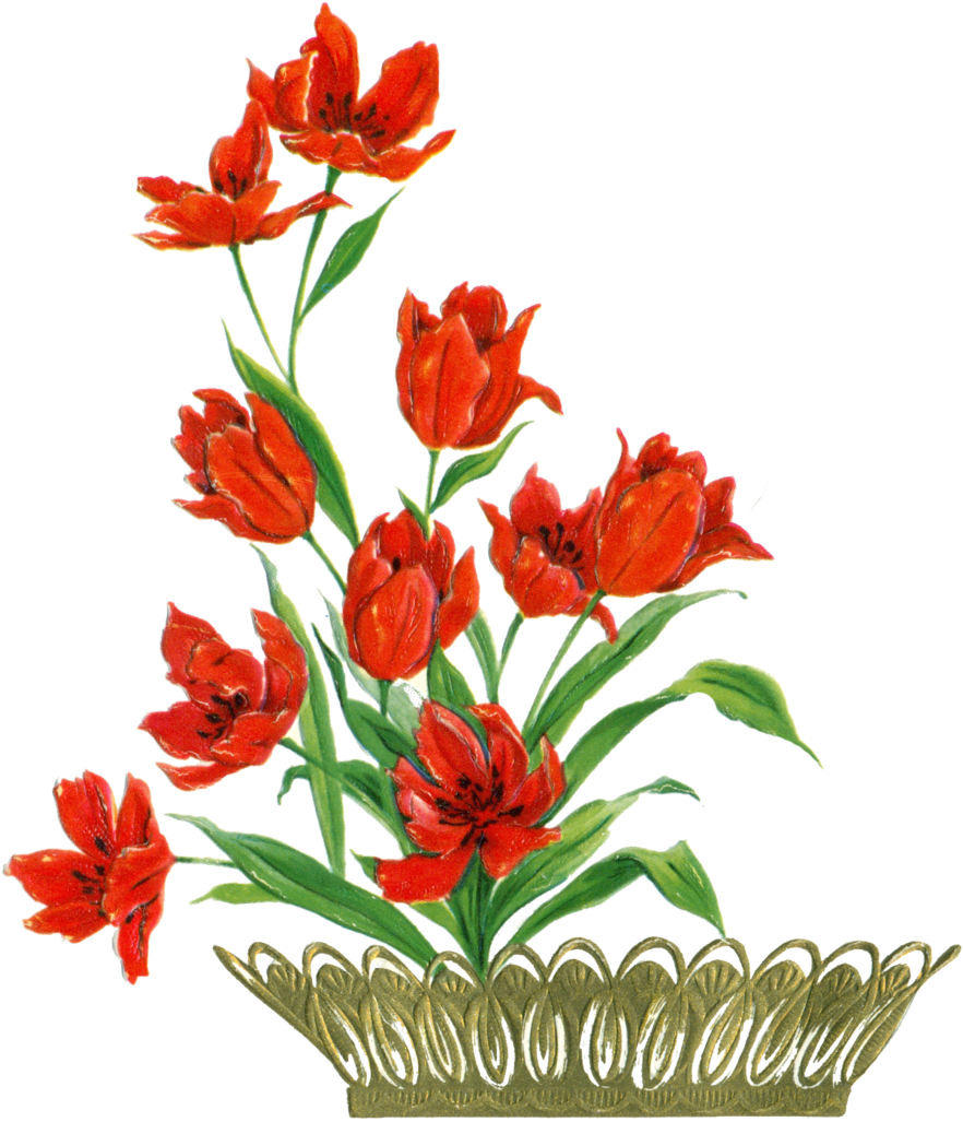 Flower Card Element By Jinifur Flower Card Element - Card Flowers Png Cliparts (900x1142)