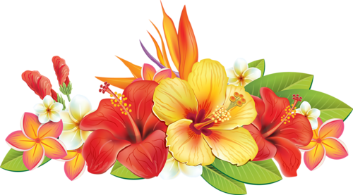 0 Cc5c4 B799d61a L - Tropical Flowers Vector Png (500x277)