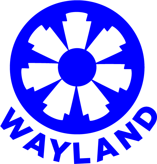 Sean Patrick Wayland - Sean Patrick Wayland (682x734)