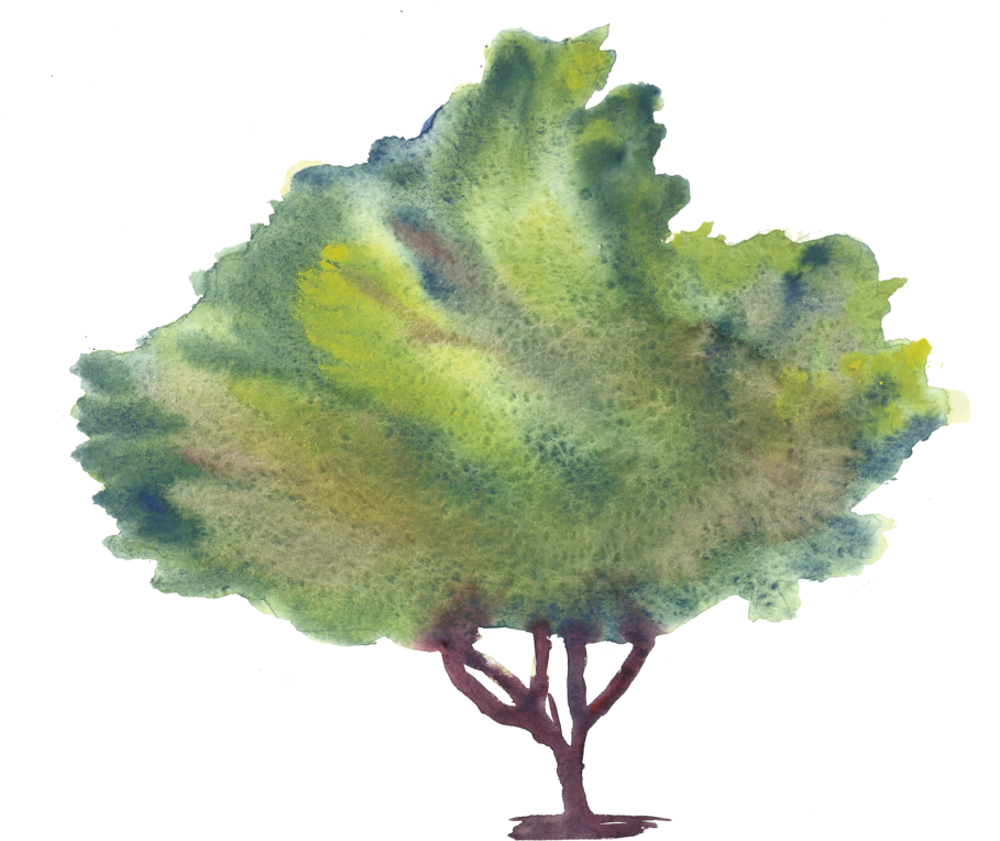 Charleston South Carolina Wedding Photographer Eco - Watercolor Painting (1000x796)