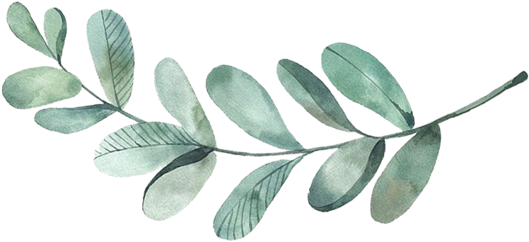 Kit 4 Quadros De Folhagens, Madeira Com Vidro, 24 X (864x417)