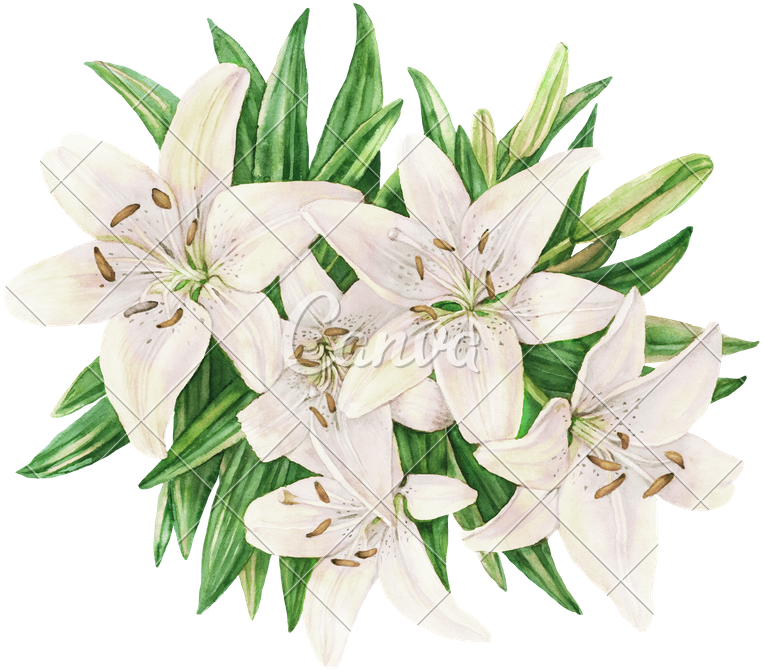 Flower Bouquet With Lily Composition For Wedding Invitation - Flower Bouquet (800x705)