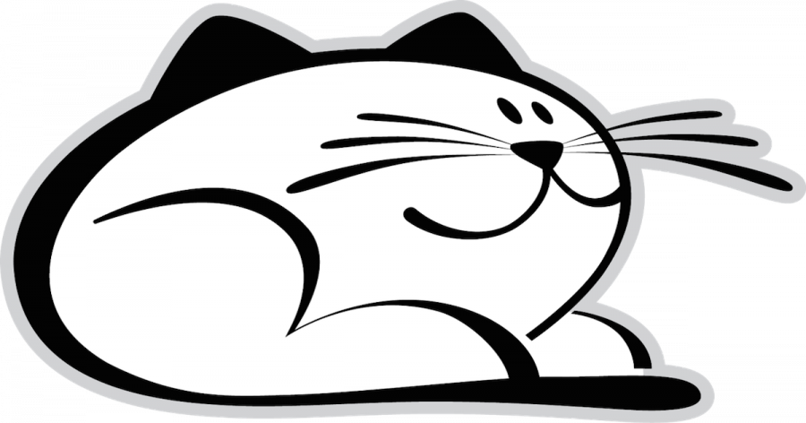 Private Party At Purr Cat Cafe - Private Party At Purr Cat Cafe (900x472)