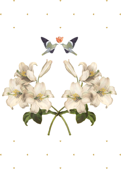 Wedding - Cyclamen (417x578)