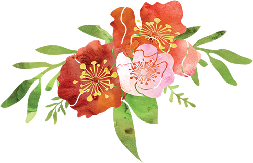 Bailey & James Wedding Slideshowyellowhead Brewery, - Caesalpinia (500x322)