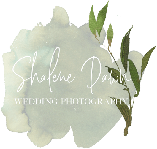 Shalene Dawn Photography Edmonton Alberta Elopement - Agave (768x530)