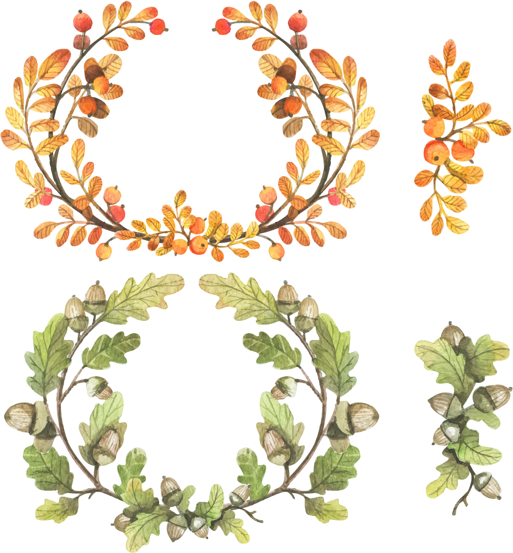 Дубовый венок рисунок