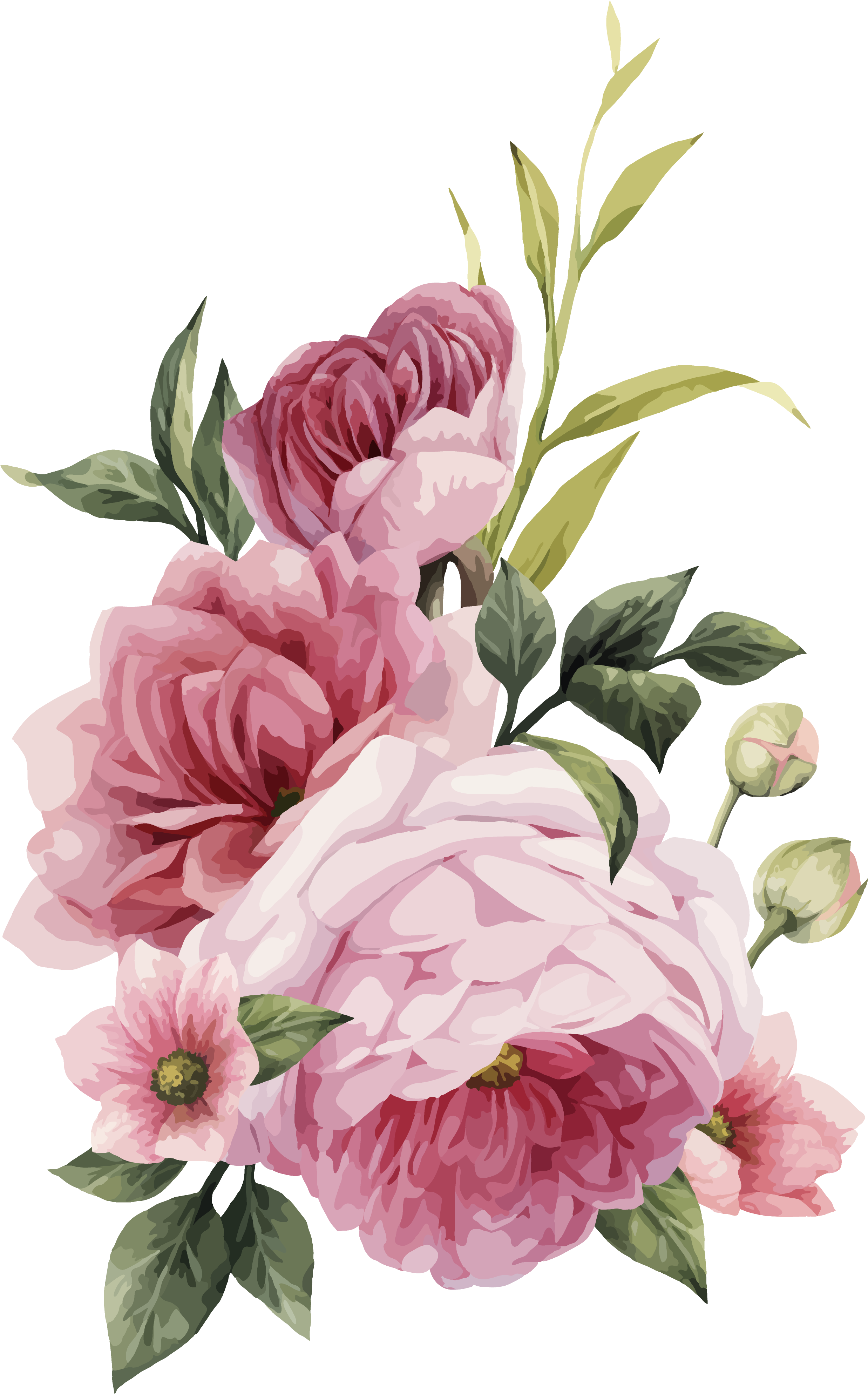 Centifolia Roses Pink Flowers Wedding Invitation Pink - Wedding Invitation Flowers Png (5000x5000)