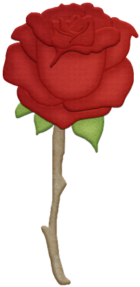 Pequeno Principe - Little Prince Rose (286x450)