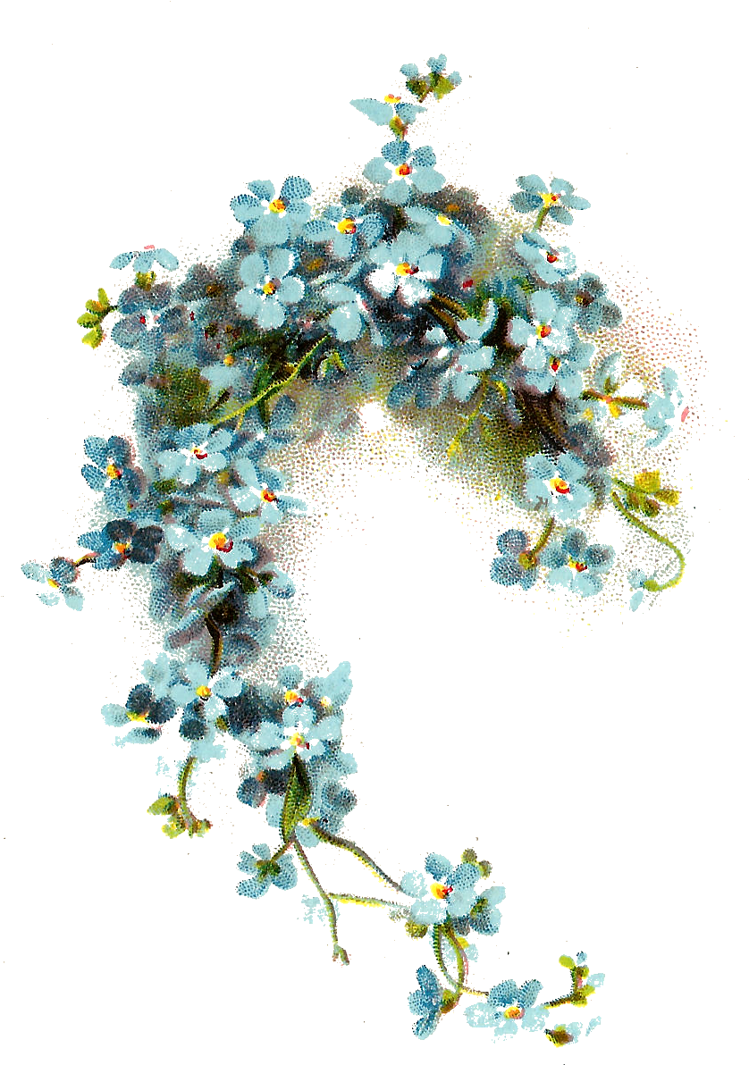 Wedding Invitation Flower Blue Vintage Clothing Clip - Forget Me Not Png (956x1317)