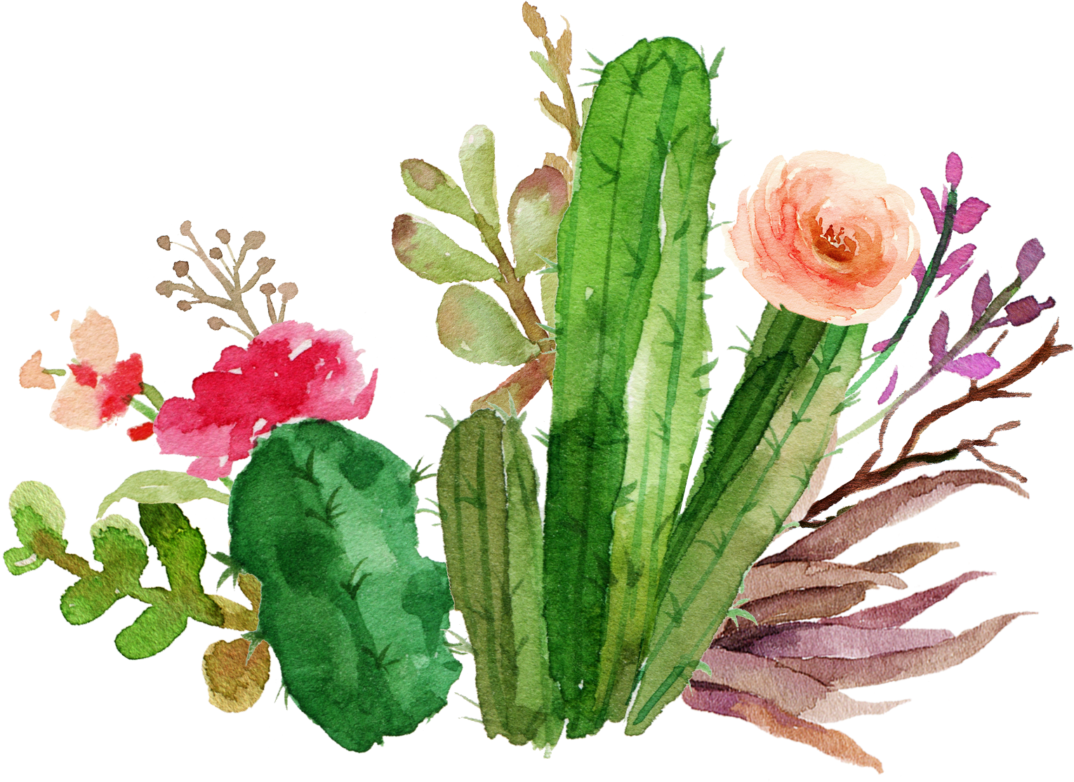 Wedding Invitation Paper Flower Textile Succulent Plant - Watercolor Cactus And Flower (1550x1217)