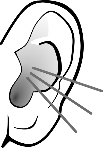 Listening Ear Clipart Icon Cliparti - Listening Ear Png (400x575)
