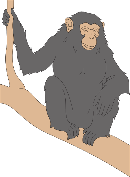 Chimp Sitting On A Branch Clip Art - Cute Chimps With Black Fur (438x596)