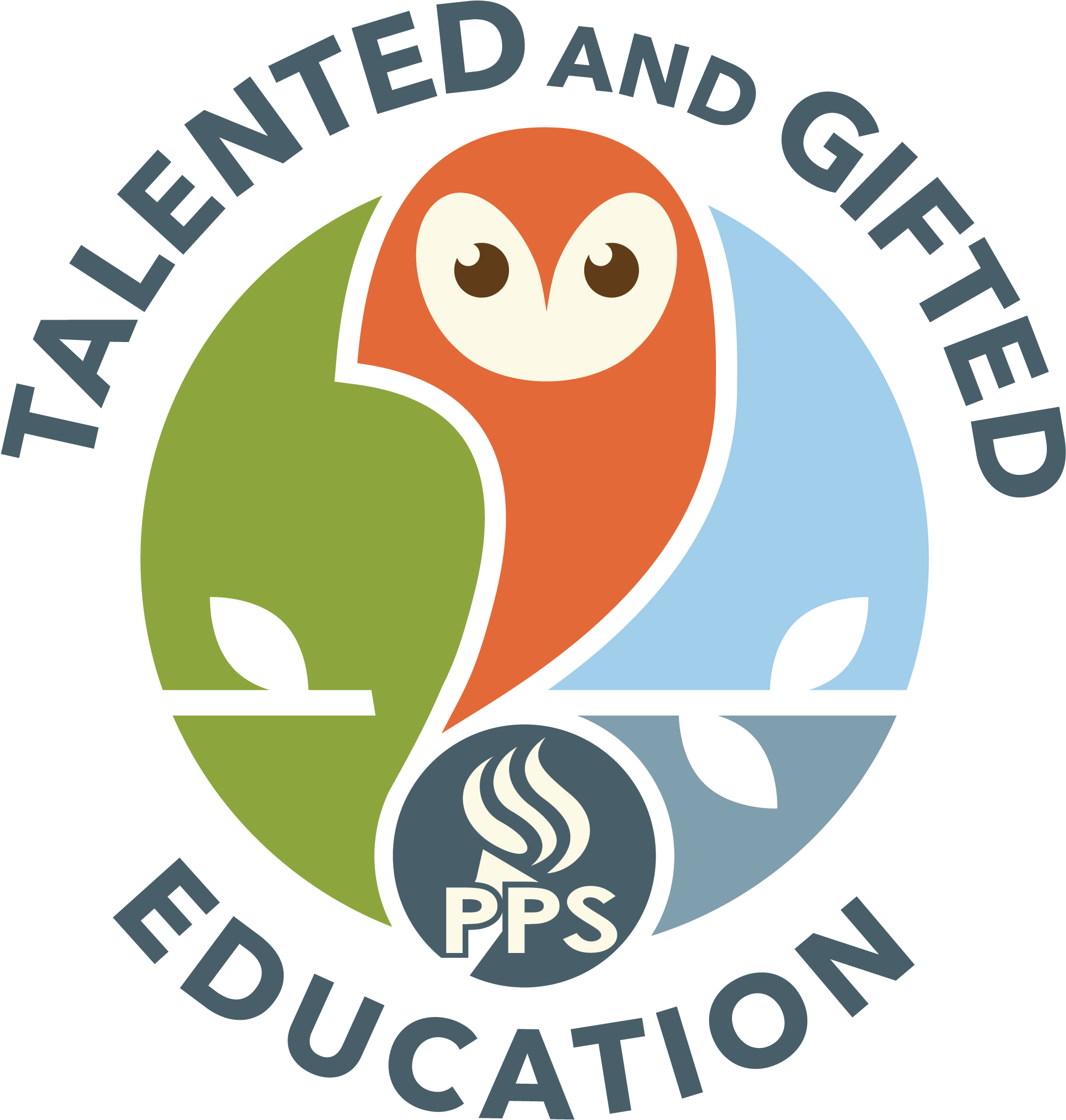Talented And Gifted Education Logo - Logo (2228x2240)