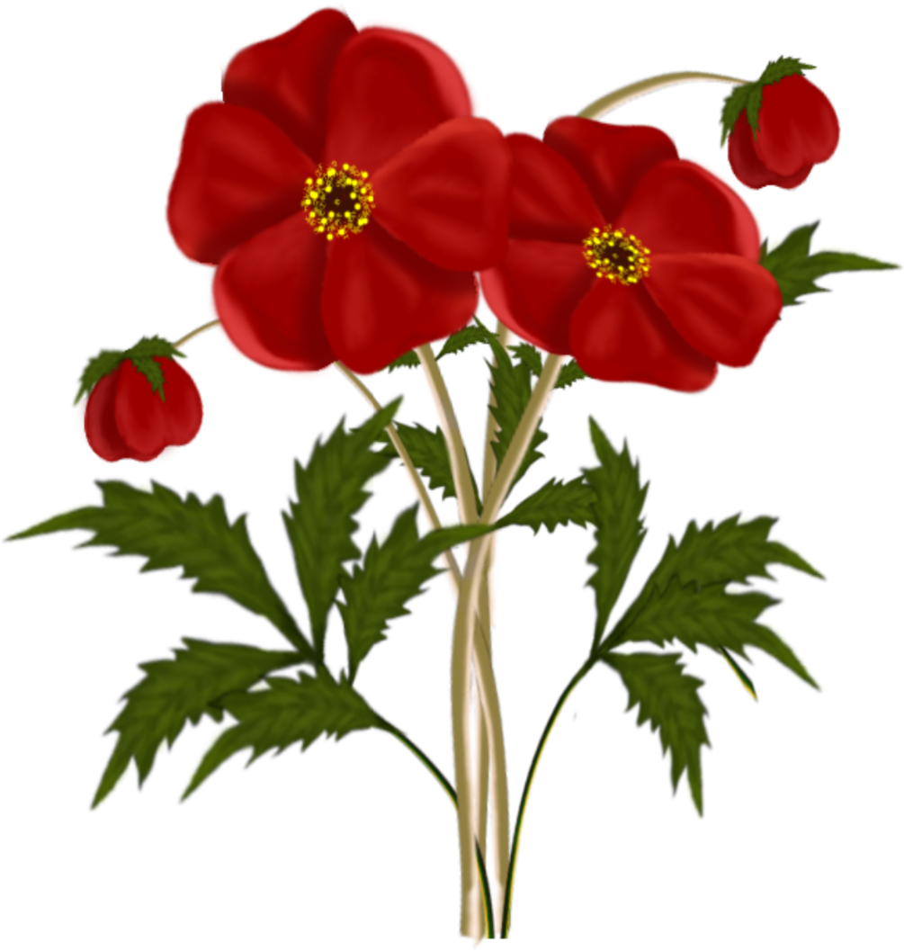 Red Flower Clipart Small - Red Flowers (1005x1057)