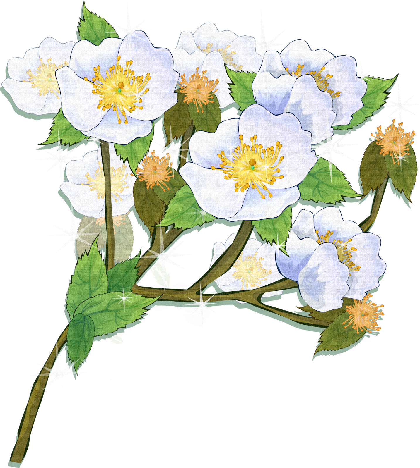 Bonitas Imagenes Para Montajes - Flower (1434x1600)