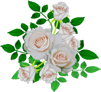 Beach Rose (400x400)