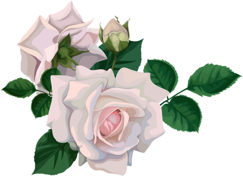 Par Thinou Le 23 Mai 2015 À - Kaisercraft 12x12 Scrapbook Paper-floral Bouquet 10 (500x370)