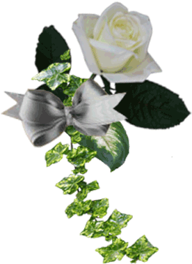 Gifs Roses - Tube Rose (300x400)