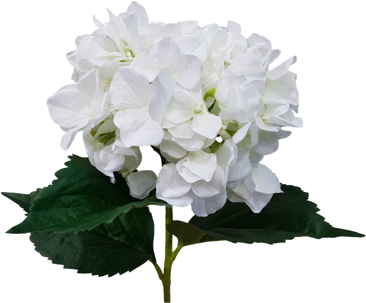 Cut Flowers Hydrangea Artificial Flower Flower Bouquet - Cut Flowers Hydrangea Artificial Flower Flower Bouquet (800x600)