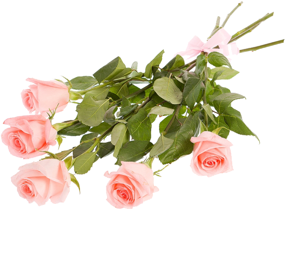 Букет Из 3 Роз Букет Из 5 Роз - Garden Roses (600x600)